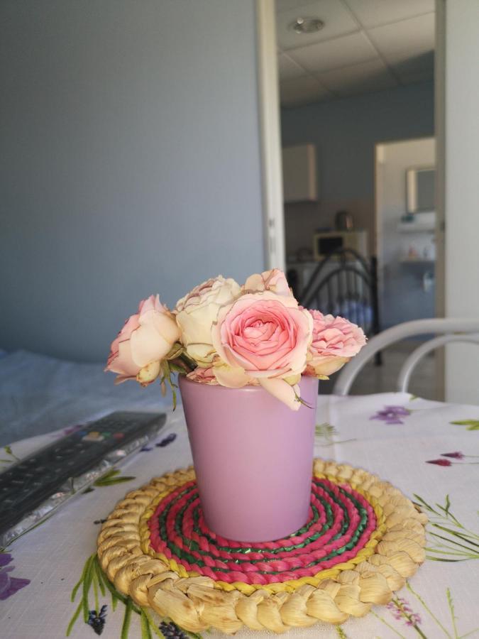 דירות Veľký Meder Hodosi Apartman מראה חיצוני תמונה